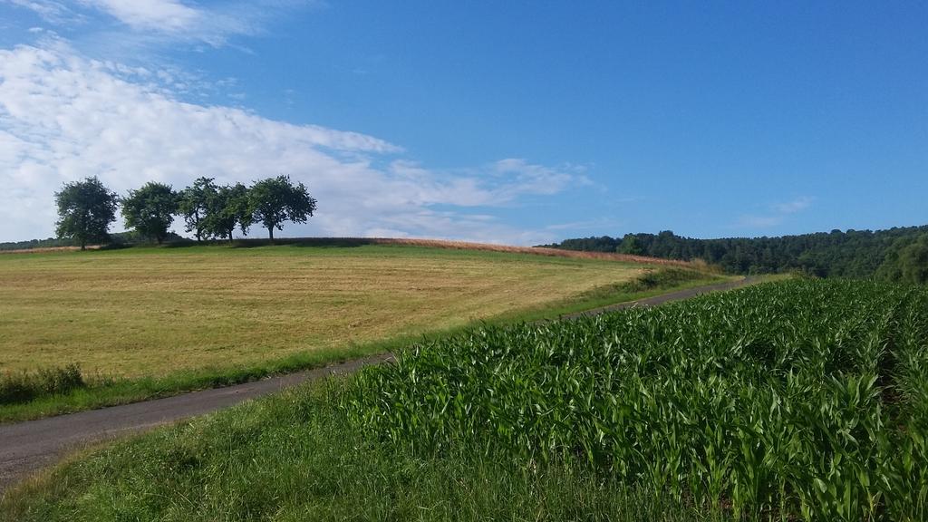 Landgasthof Zur Untermuehle Datterode Екстериор снимка